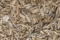 biomass boilers Moniaive